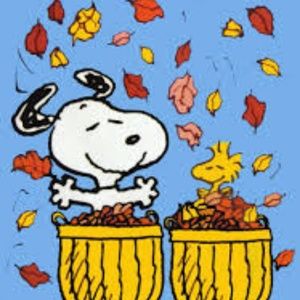 Happy Fall!